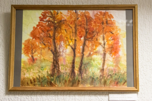 BE062EA4BE812EA00D6D998258DE2A491CBAF770709D055216pimgpsh_fullsize_distr