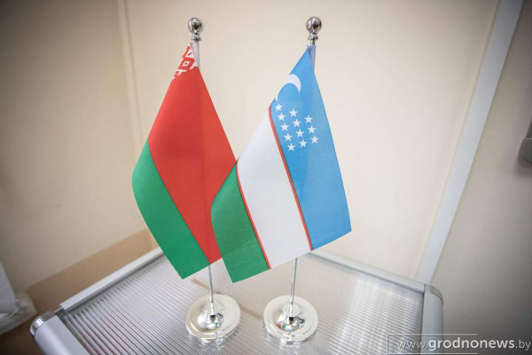 521239dbb8e4dca609113e2646a19fc0