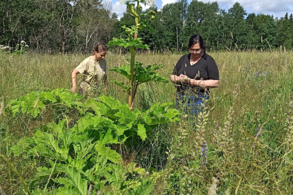 ebfb2bd9a8d4a5bc22083bb4c7e4ad93_edit_17967241930591