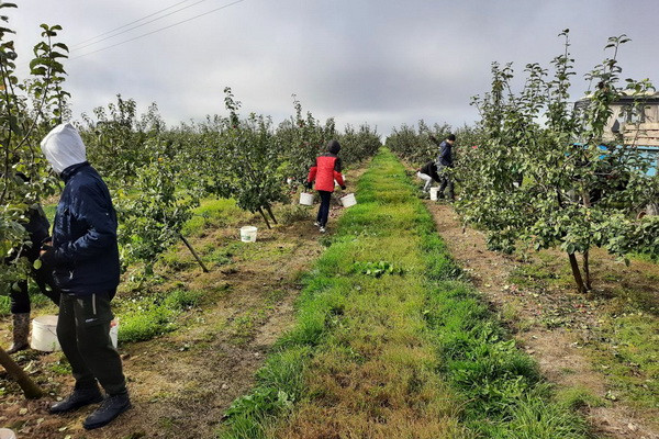 photo_2022-10-11_08-52-47