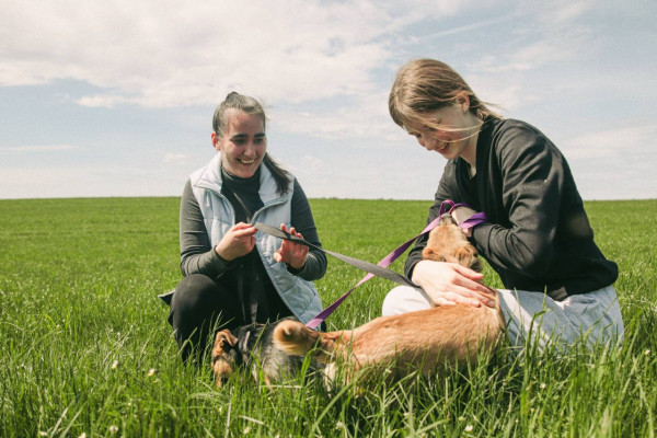 photo_5212951534466350760_y