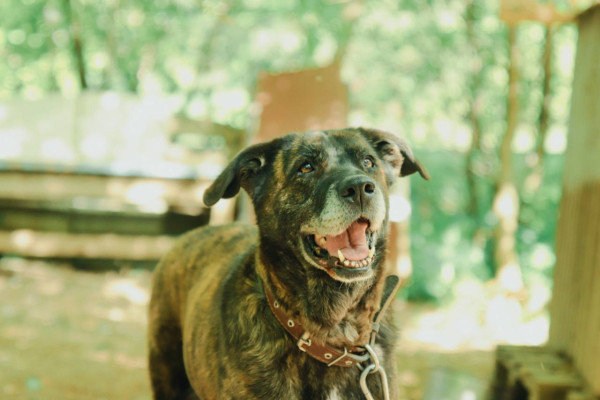 photo_5212951534466350762_y