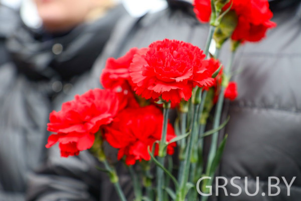 IMG_20230215_171406_849