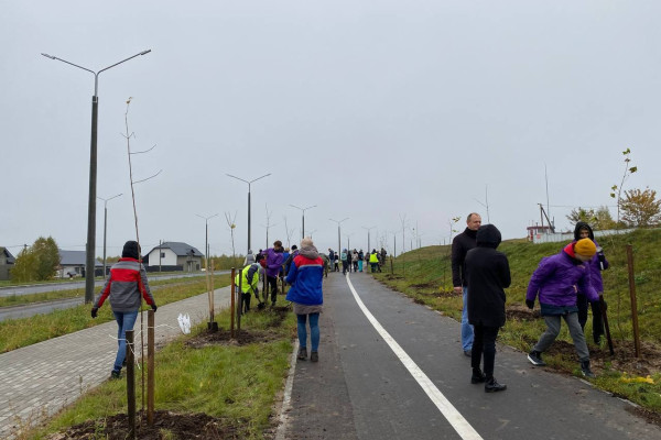 photo_5325703634396238235_y