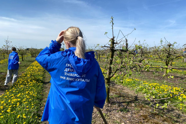 photo_5296273925778561568_y