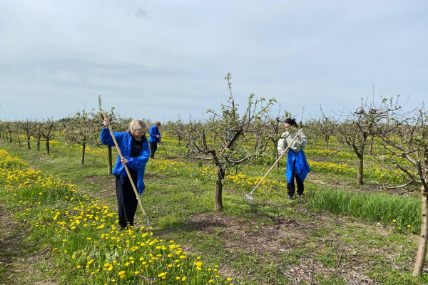 photo_5296273925778561571_y