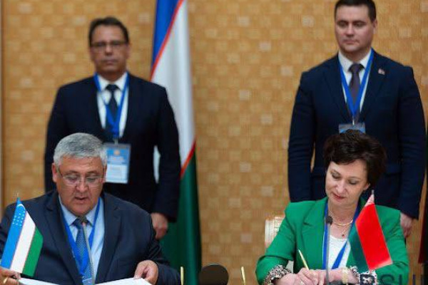 photo_5298748269322688905_x