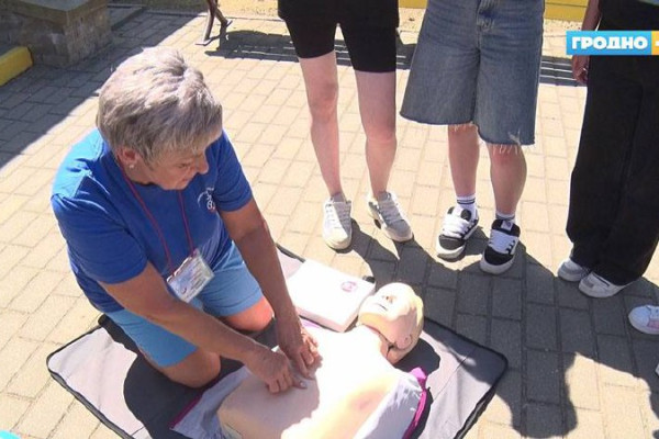 photo_5235477512652447585_x