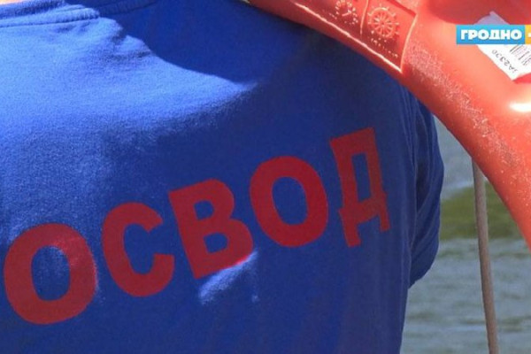 photo_5235477512652447586_x