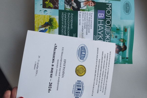 photo_5262702498592972671_y