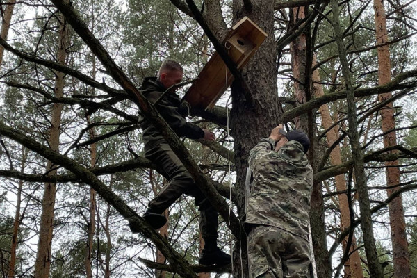 photo_5301080256175793310_y