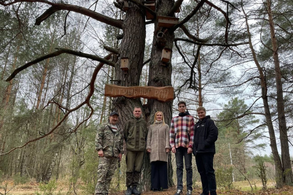 photo_5301080256175793317_y