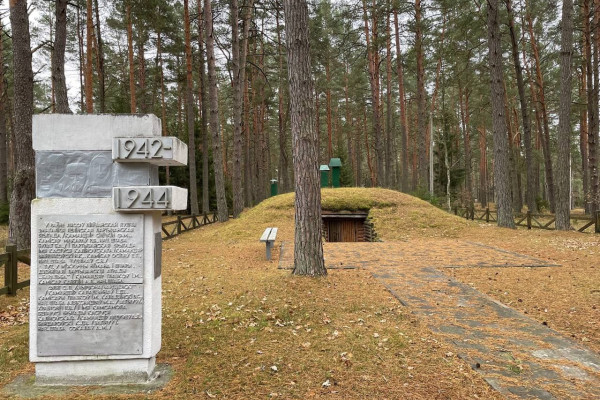 photo_5301080256175793319_y