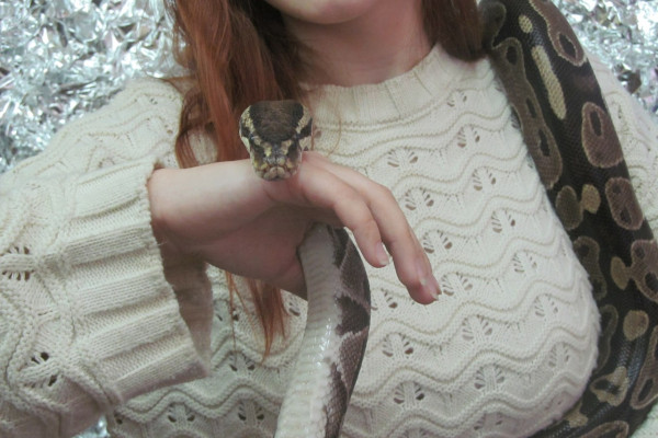 IMG_20241226_171101_637