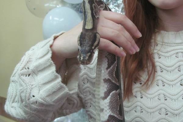 IMG_20241226_171103_776