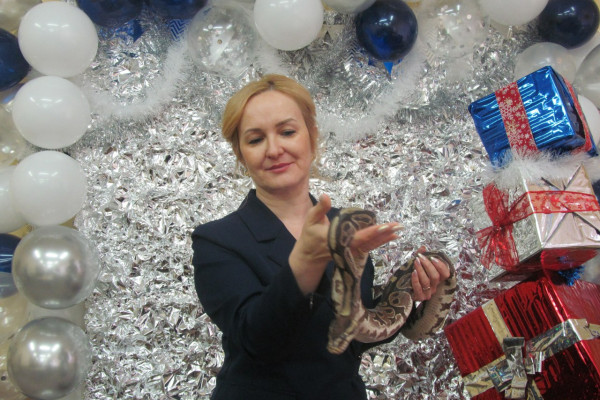 IMG_20241226_171109_799