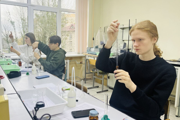 photo_5197393367623919812_y