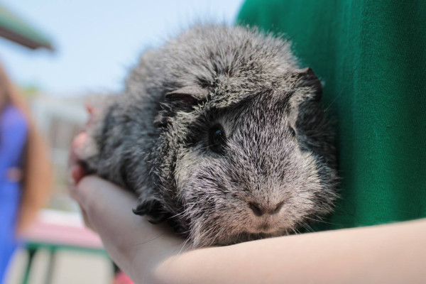 photo_2025-06-04_09-34-31