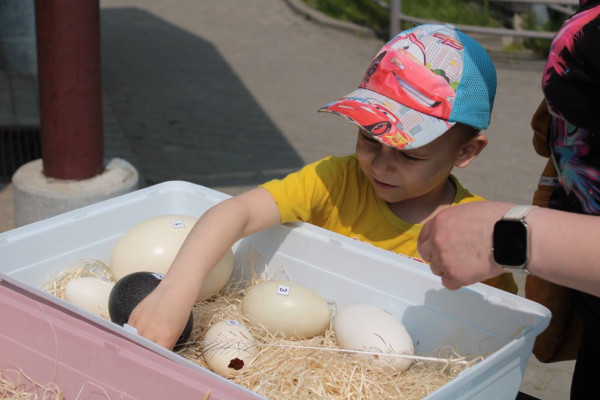 photo_2025-06-04_09-34-49
