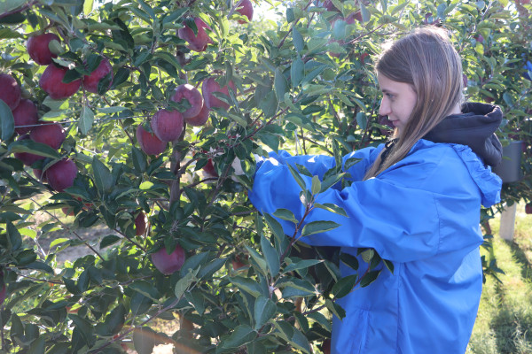 20240926100433_IMG_3747