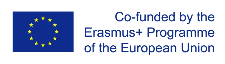 proekt erasmus