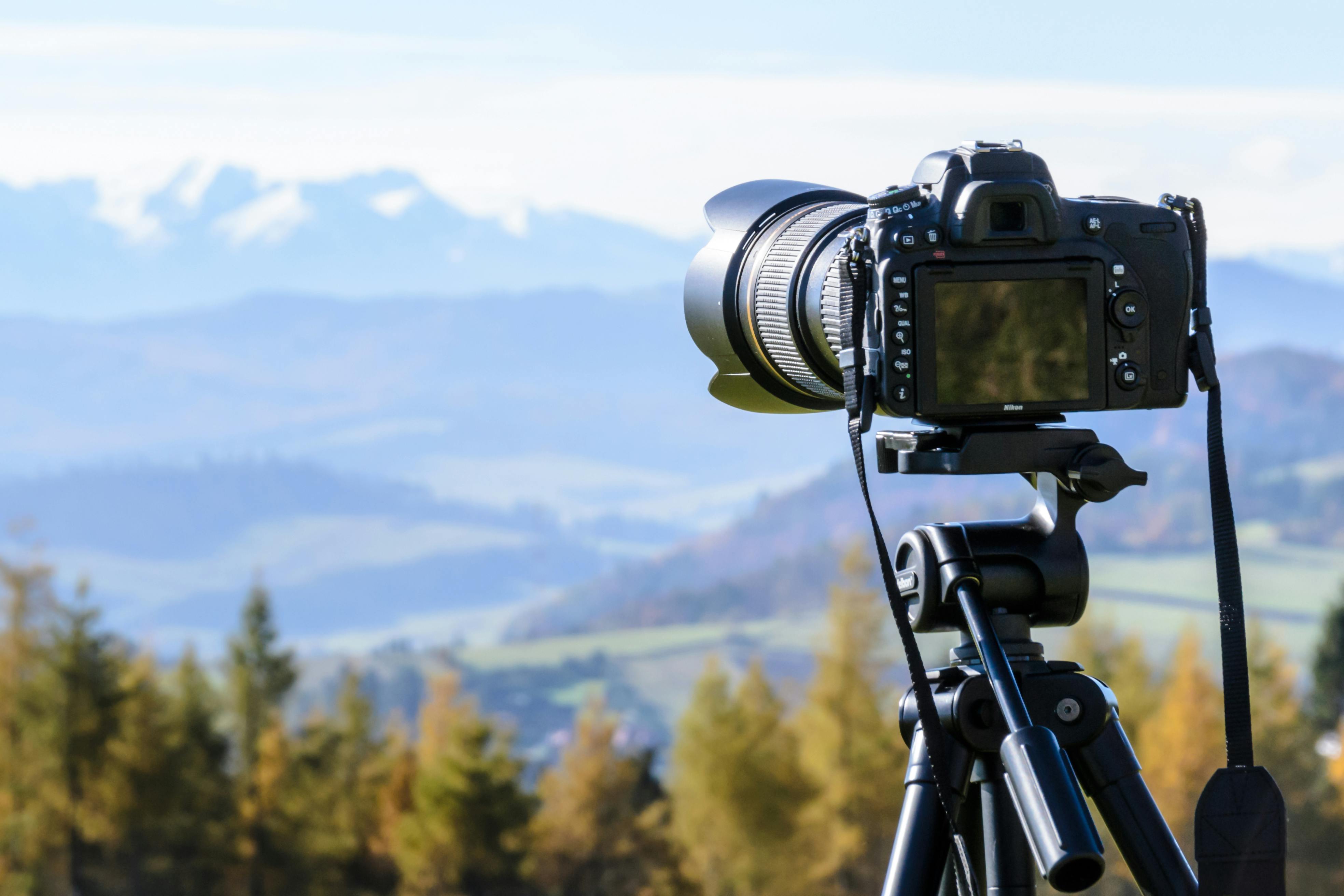 pexels asphotograpy 212372